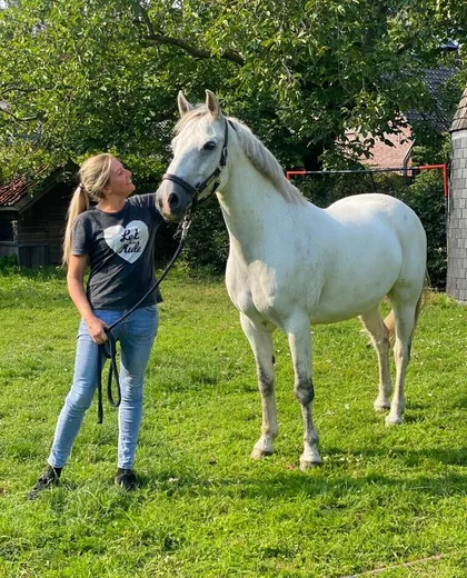 Pony Gijs bij aankomst in de tuin